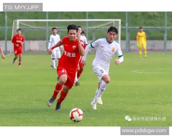 深圳篮球队个人能力分析与战术运用的深度探讨